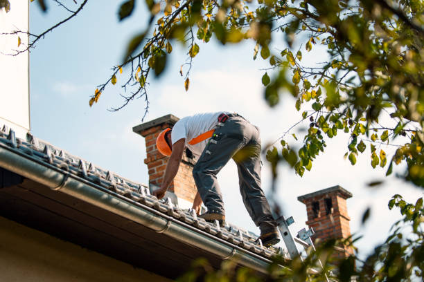 Best Roof Leak Repair  in Ore City, TX