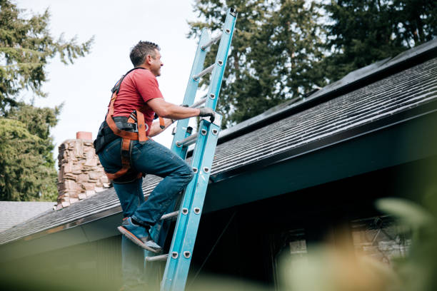 Best Metal Roofing Installation  in Ore City, TX